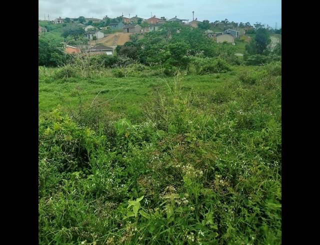 LAND FOR SALE IN LOVU